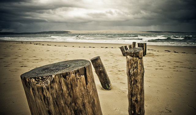 Le Cap-Ferret - (CC) clodius maximus